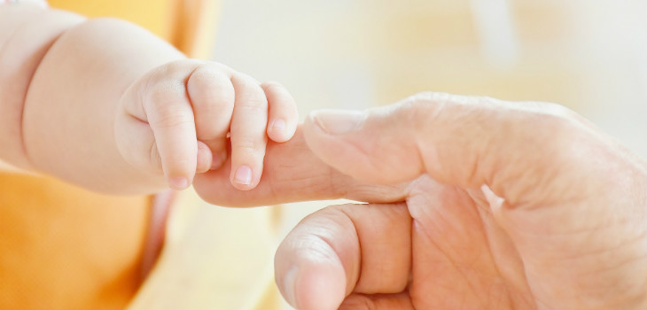 Arturo Álvarez-Buylla explica que empezaron este estudio "tratando de confirmar que había neurogénesis en el cerebro adulto, no de negarlo". / RitaE (PIXABAY)