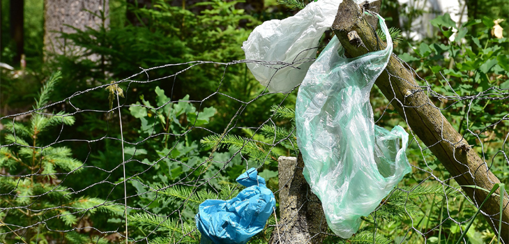 Bolsas de plástico ensuciando el medio ambiente. / RitaE (PIXABAY)