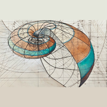 Una muestra que une la zoología, las matemáticas y el arte. / MNCN-CSIC