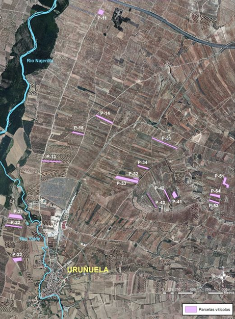 Perfil suelo con reserva de agua de 138 litros por m2 (Izqda.) y perfil de suelo con reserva de agua de 59,8 litros por m2 (dcha.). Fuente: José Mª Martínez-Vidaurre.
