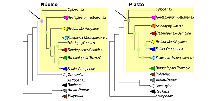 Gráfica que ilustra información de la notica
