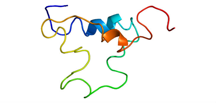 Estructura de la proteína IGF1. / Emw (WIKIMEDIA)
