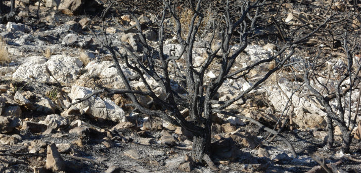 Tecnología innovadora que permitirá a Protección Civil anticipar catástrofes naturales