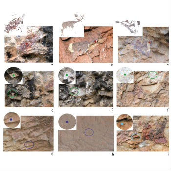 Plano de la planta de los abrigos de la Saltadora en el que se muestra la distribución de las figuras rupestres analizadas y los puntos de control. / UV