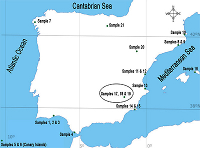 La marea de plásticos que contamina los océanos se cuela en la sal de mesa