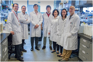 Descifran el mecanismo por el que un fármaco conocido hace décadas reduce el tamaño del infarto