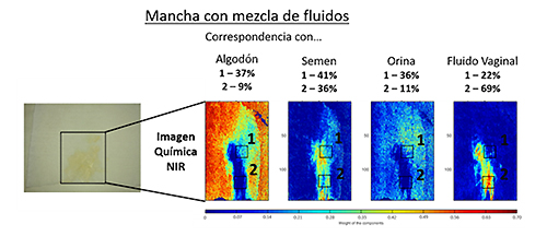 Haciendo visible lo invisible: identificación de fluidos corporales con la técnica de imagen hiperespectral