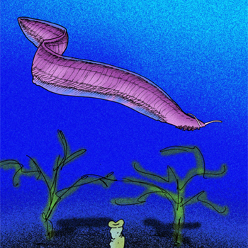 Recreación de una Pikaia. / Apokryltaros (WIKIPEDIA)