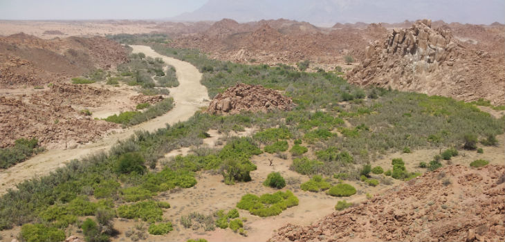 El investigador de la Universidad de Granada realizó un muestreo en varios ríos intermitentes de Namibia, como el Ugab. / Marcos Moleón Paiz