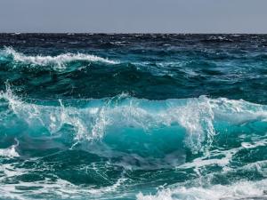 "El planeta será inhóspito para los humanos"