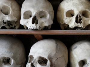 Un estudio publicado este lunes en PNAS, sostiene que la acumulación de huesos en la Sima y en Dinaledi podría deberse a causas naturales y no a la intervención del hombre. / virnuls (PIXABAY)