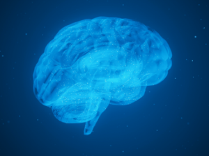 5. Notiweb pla acció eu