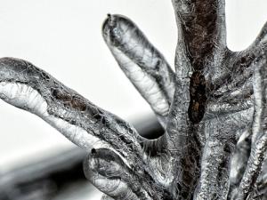 Cómo unos microbios impidieron la congelación extrema de la Tierra