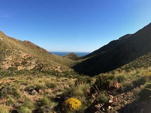 La diversidad de las plantas maximiza el funcionamiento del ecosistema