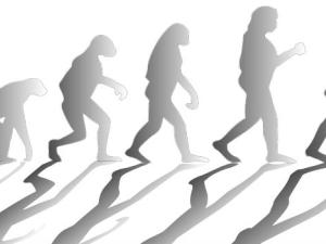 El origen del hombre no es uno, sino muchos distintos. / OpenClipart-Vectors  (PIXABAY)