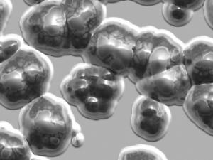 Ilustración de bacterias. / HypnoArt (PIXABAY)