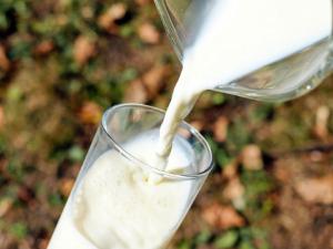 La leche, beneficiosa para la salud cardiovascular