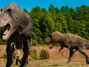 Descubren dos nuevos 'eslabones' entre dinosaurios y aves en China