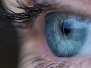 Ojo humano. / Free-Photos (PIXABAY)