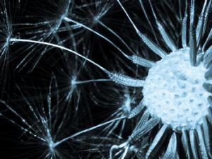 Ilustración de sinapsis. / Ben Cadet (FLICKR)