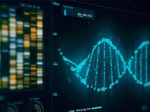 Ensayos de modificación de ADN. / NASA's Marshall Space Flight Center (FLICKR)