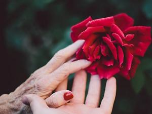 Recuerdos. / Pexels (PIXABAY)