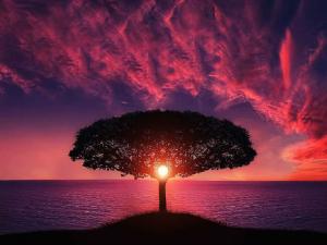 ¿Son estas las criaturas más raras de la Tierra?