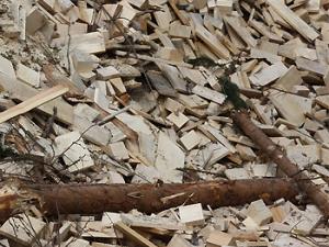 Biomasa, más cerca de reemplazar a químicos derivados del petróleo