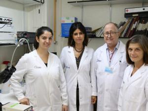 De izquierda a derecha: Diana Bou Teen, Marisol Ruiz-Meana, David Garcia-Dorado, Elisabet Miro-Casas (CIBERCV-VHIR)