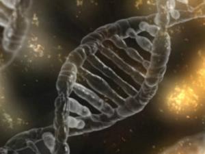 En este estudio se observan las mutaciones del gen Fibrilin-1 (FBN-1) que se encuentran en más del 90% de los casos de Síndrome de Marfan. / typographyimages (PIXABAY)