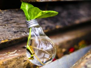 Se está impulsando el desarrollo industrial sostenible y se está estimulando la generación de nuevas oportunidades de negocio. / StockSnap (PIXABAY)