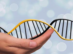 Ilustración de cadena de ADN. / geralt (PIXABAY)