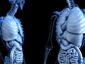 Un ensayo internacional extiende la eficacia de la inmunoterapia a más pacientes de cáncer de pulmón