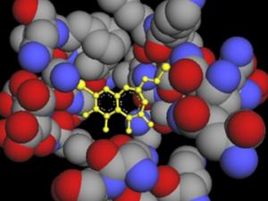 Diseño computacional de los inhibidores Plk1. / Libertas Academica (FLICKR)