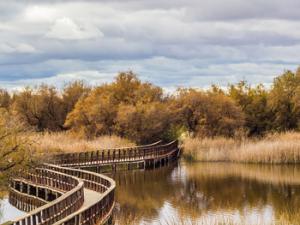 las fuentes de aguas subterráneas sirvieron de salvavidas para las primeras migraciones humanas que salieron de África oriental. / Pablo García Armentano (WIKIMEDIA)