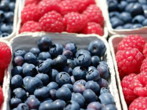 Procesamiento y envasado innovadores para productos derivados de bayas ecológicos, seguros y de alta calidad