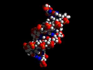 La línea de ensamblaje del futuro: herramienta automatizada para la investigación de biología sintética