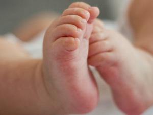 El sistema se basa en la sonografía, que emplea ondas ultrasónicas y que nunca antes se había aplicado en el ámbito de las neurociencias. / Zozz_ (PIXABAY)