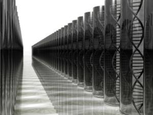 los relatos podrían servir como mecanismo con el que difundir conocimientos transmitiendo normas sociales que coordinan el comportamiento social y promueven la cooperación. / PublicDomainPictures (PIXABAY)