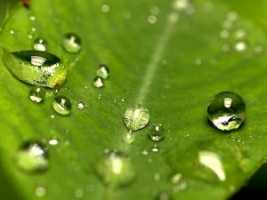 Un orden sorprendente en la superficie de gotas de agua minúsculas
