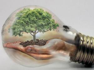 Un portal para compartir y descubrir innovaciones tecnológicas sobre el clima. / thommas68 (PIXABAY)