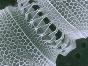 Nanotubo. El tamaño, la estructura y las propiedades de los nanomateriales propician avances tecnológicos significativos, aunque su desarrollo también implica posibles riesgos para la salud humana y el medio ambiente. / Health Sciences and Nutrition, CSIRO (WIKIMEDIA)