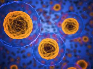 Nueva terapia contra la nefropatía diabética