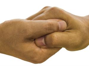 "La solidaridad se organiza en distintos planos"