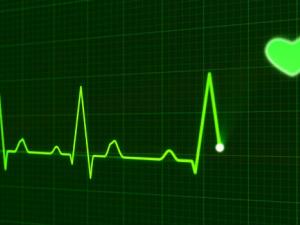 Se implantan por primera vez en ovejas válvulas cardíacas diseñadas por ordenador. / PublicDomainPictures (PIXABAY)