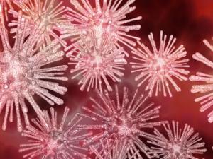 Descubren cómo las bacterias miden la concentración de antibióticos en su entorno y se vuelven inmunes a ellos