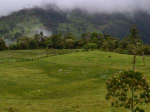 Bosque nublado del Valle de Quijos, en Ecuador. / Nicholas Loughlin