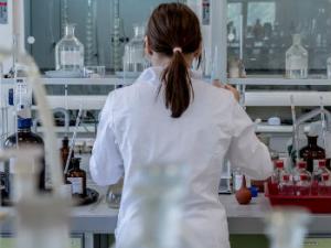 Las mujeres representan el 35,7% del personal funcionario de la institución. / jarmoluk (PIXABAY)