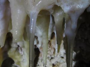 El estudio de una estalagmita muestra la clave de los cambios de temperatura