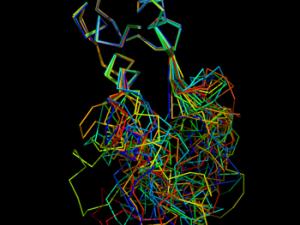 La hormona precursora de la insulina  protege frente al deterioro cognitivo. / CSIC